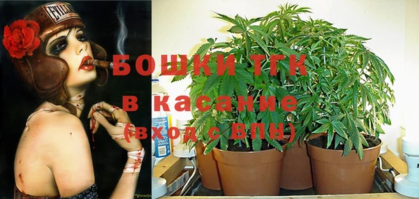 MESCALINE Инсар