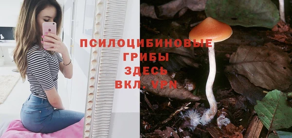 МДПВ Иннополис